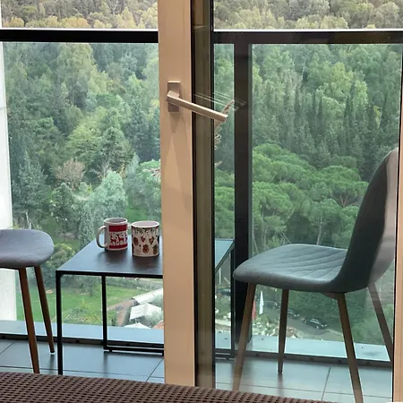 Ambassador Skyline Тирана